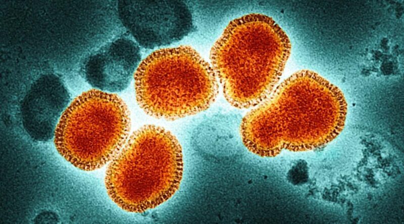 Sự phát triển phôi bắt nguồn từ virus cổ đại