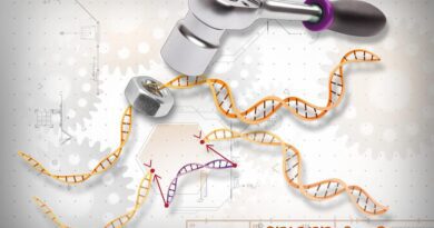 Nhóm nghiên cứu Hoa Kỳ phát triển hệ thống phân phối CRISPR có mục tiêu cao để thúc đẩy chỉnh sửa gen ở động vật sống