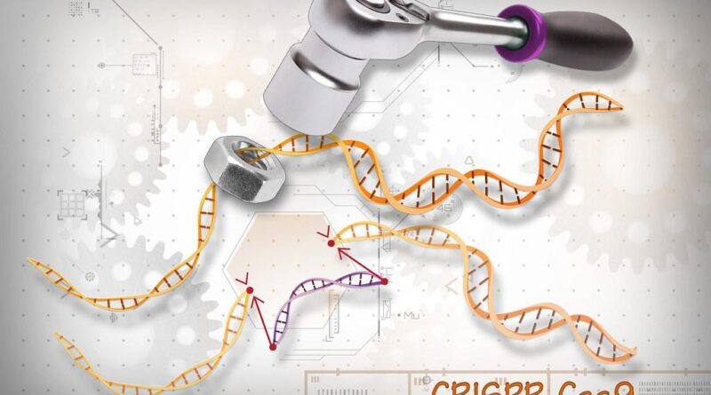 Nhóm nghiên cứu Hoa Kỳ phát triển hệ thống phân phối CRISPR có mục tiêu cao để thúc đẩy chỉnh sửa gen ở động vật sống